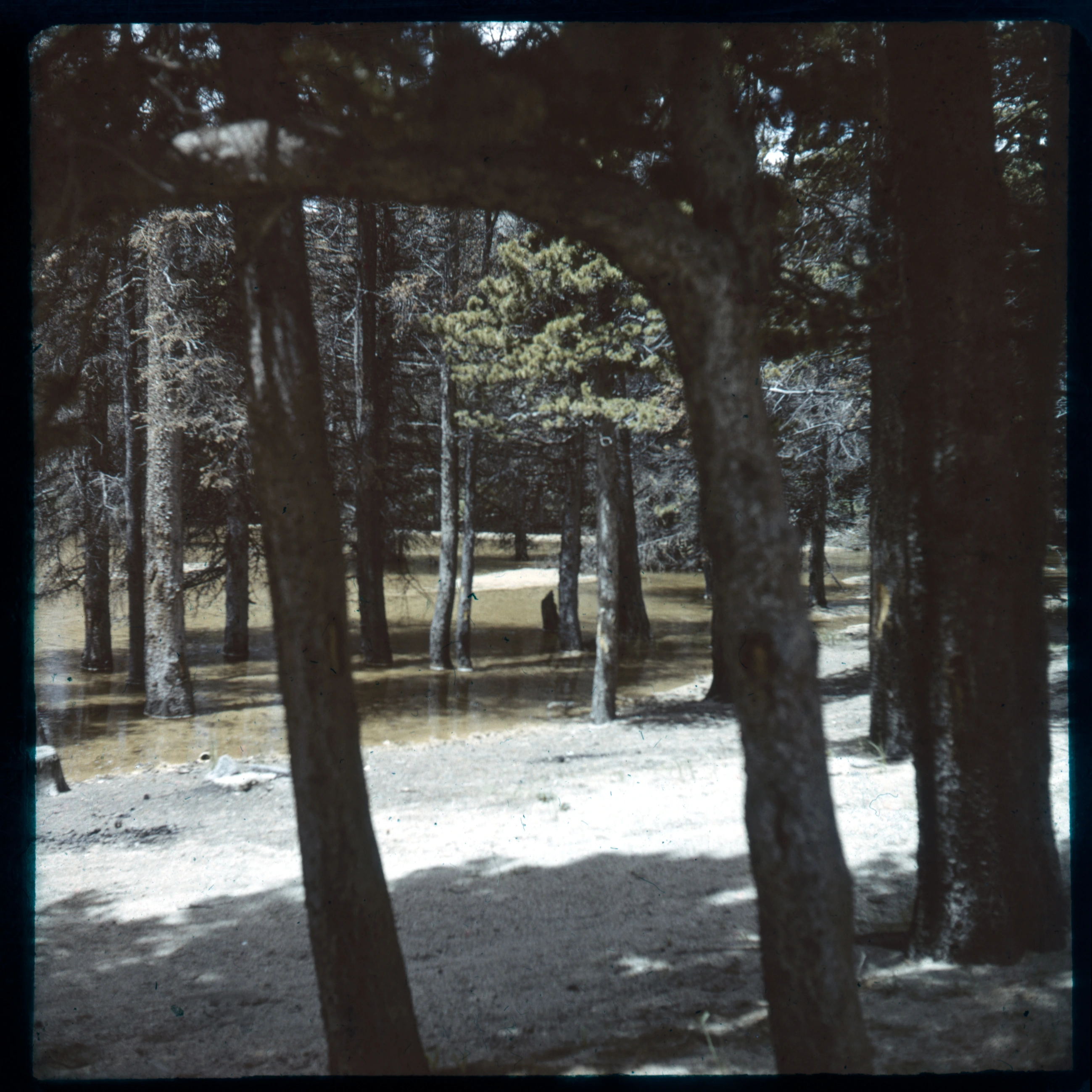 Slide 0502