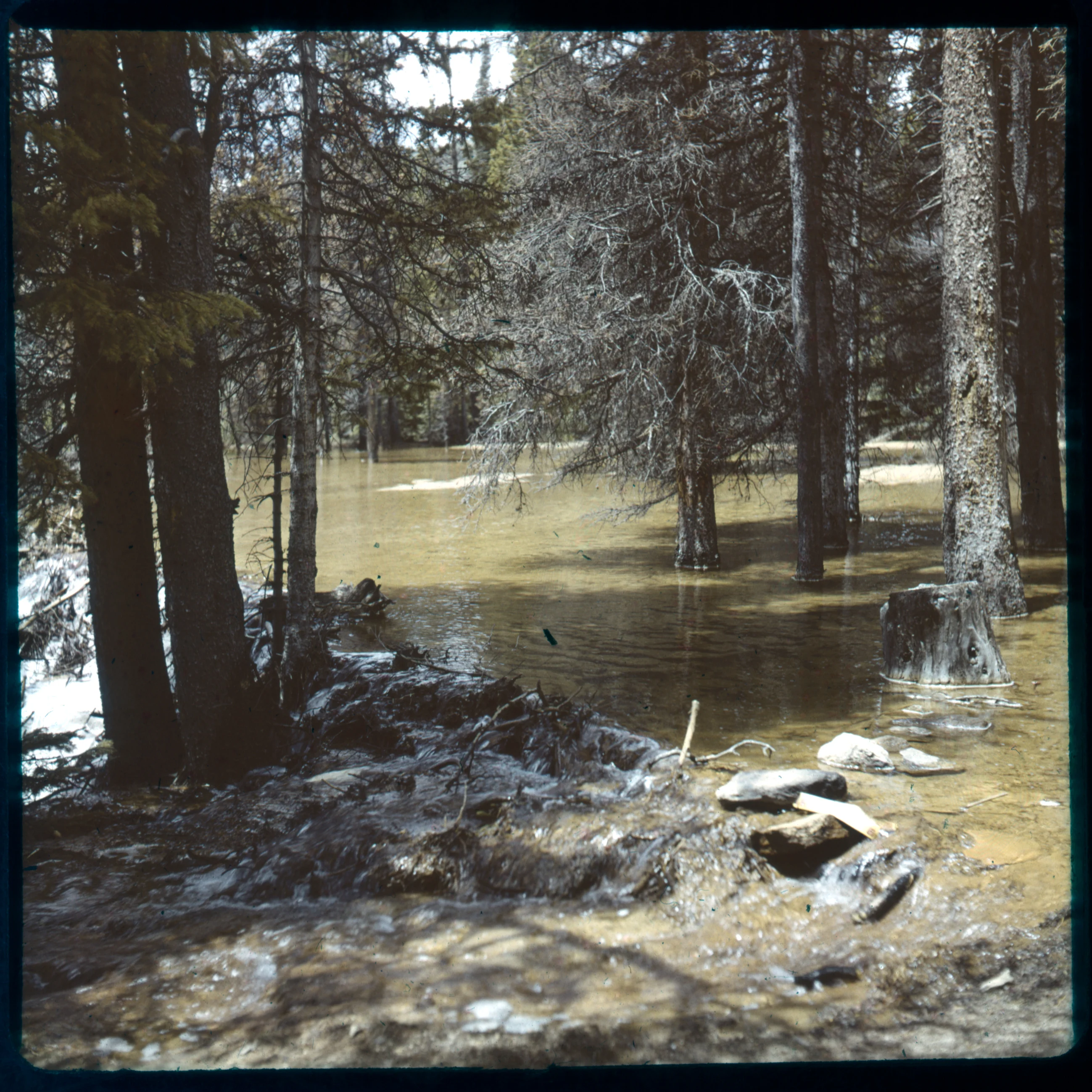 Slide 0503