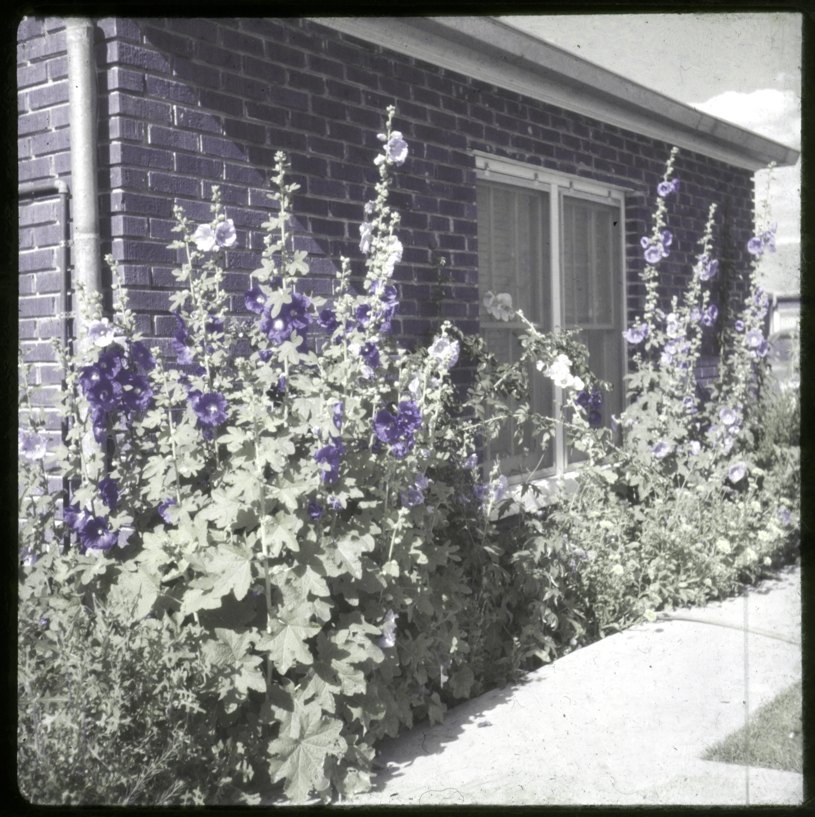 Slide 0576