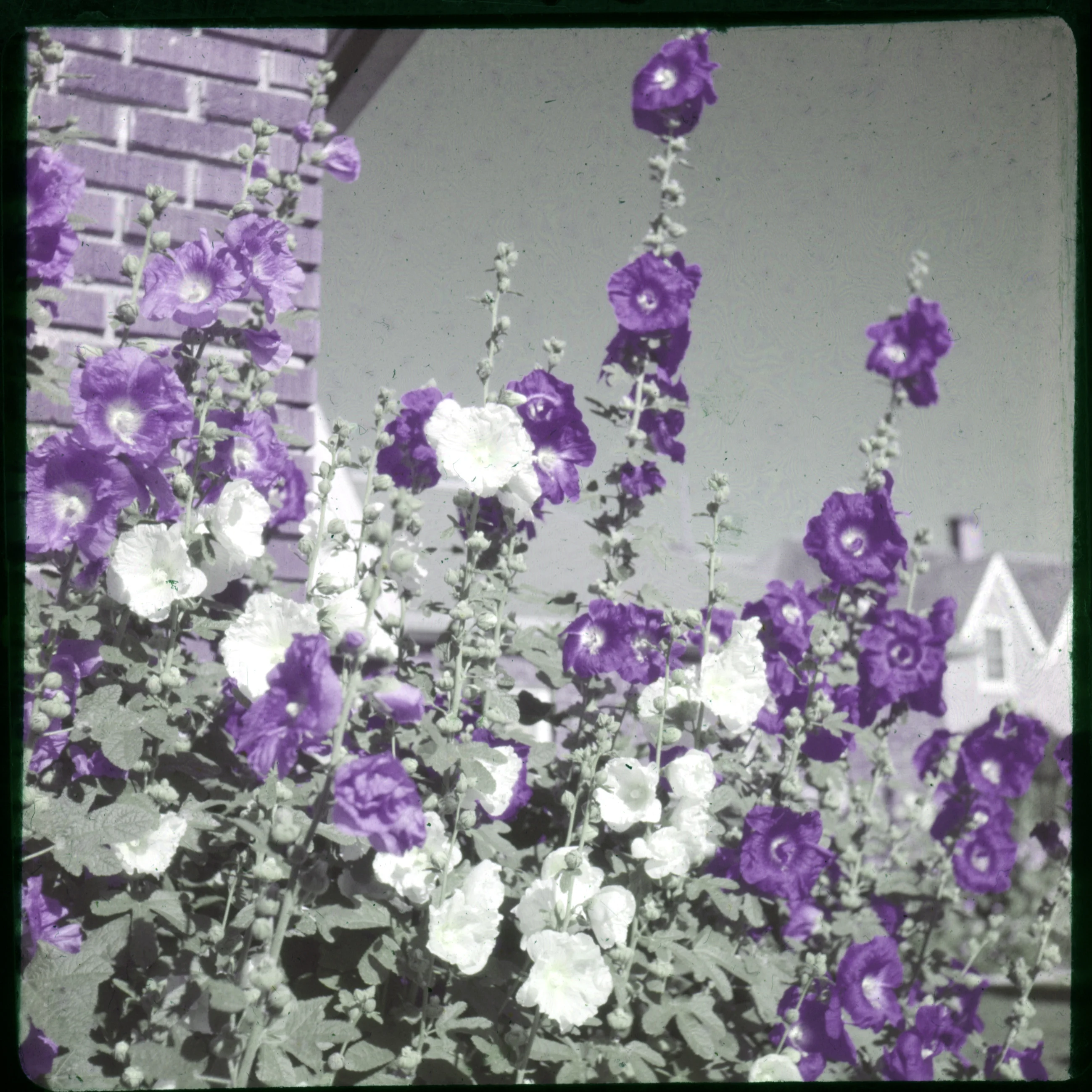 Slide 0578