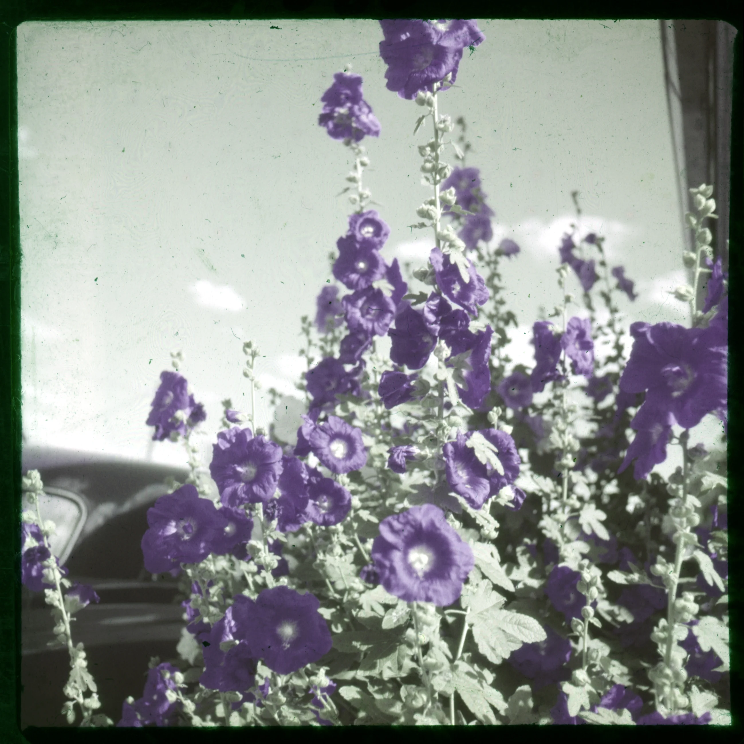 Slide 0580