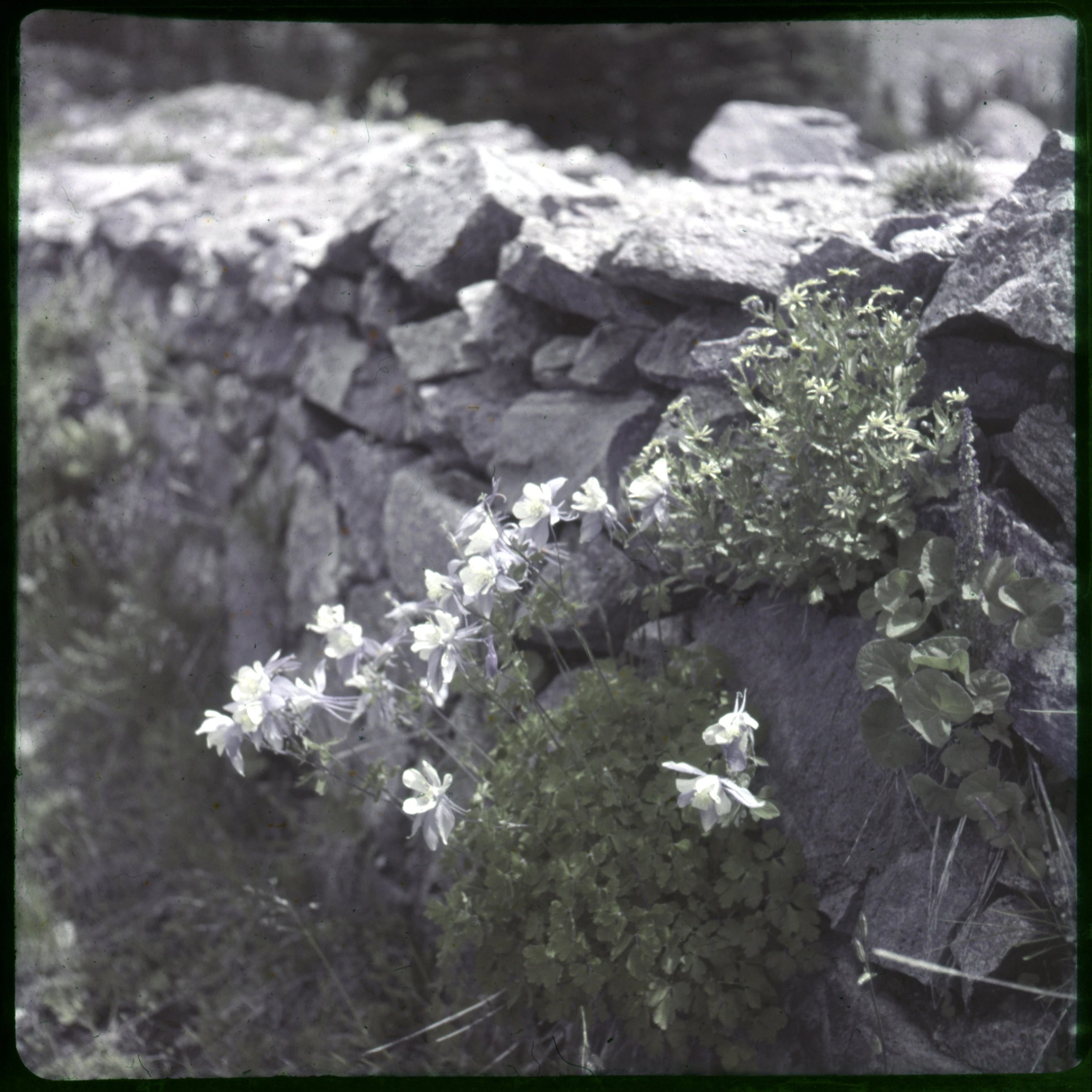 Slide 0723