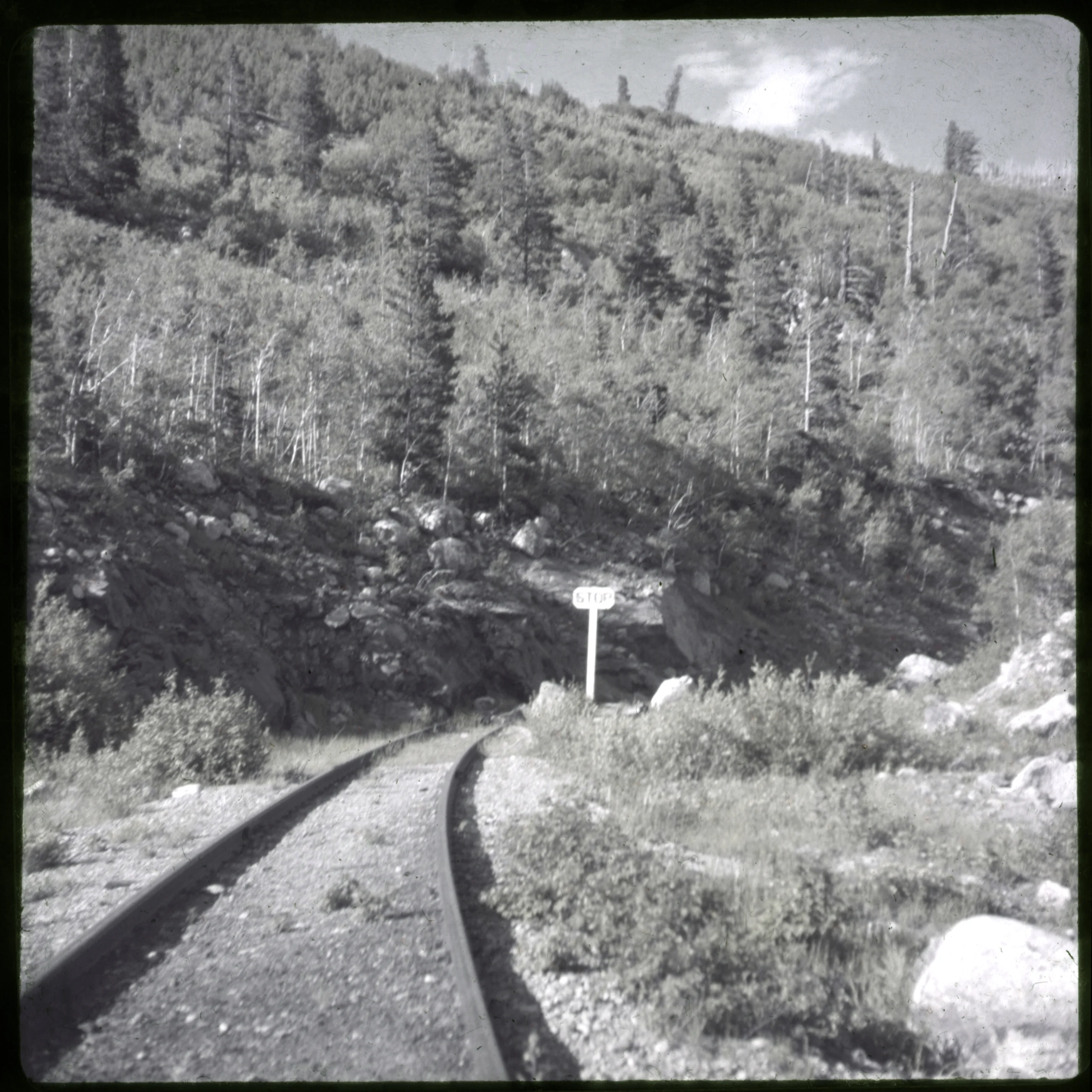 Slide 0782