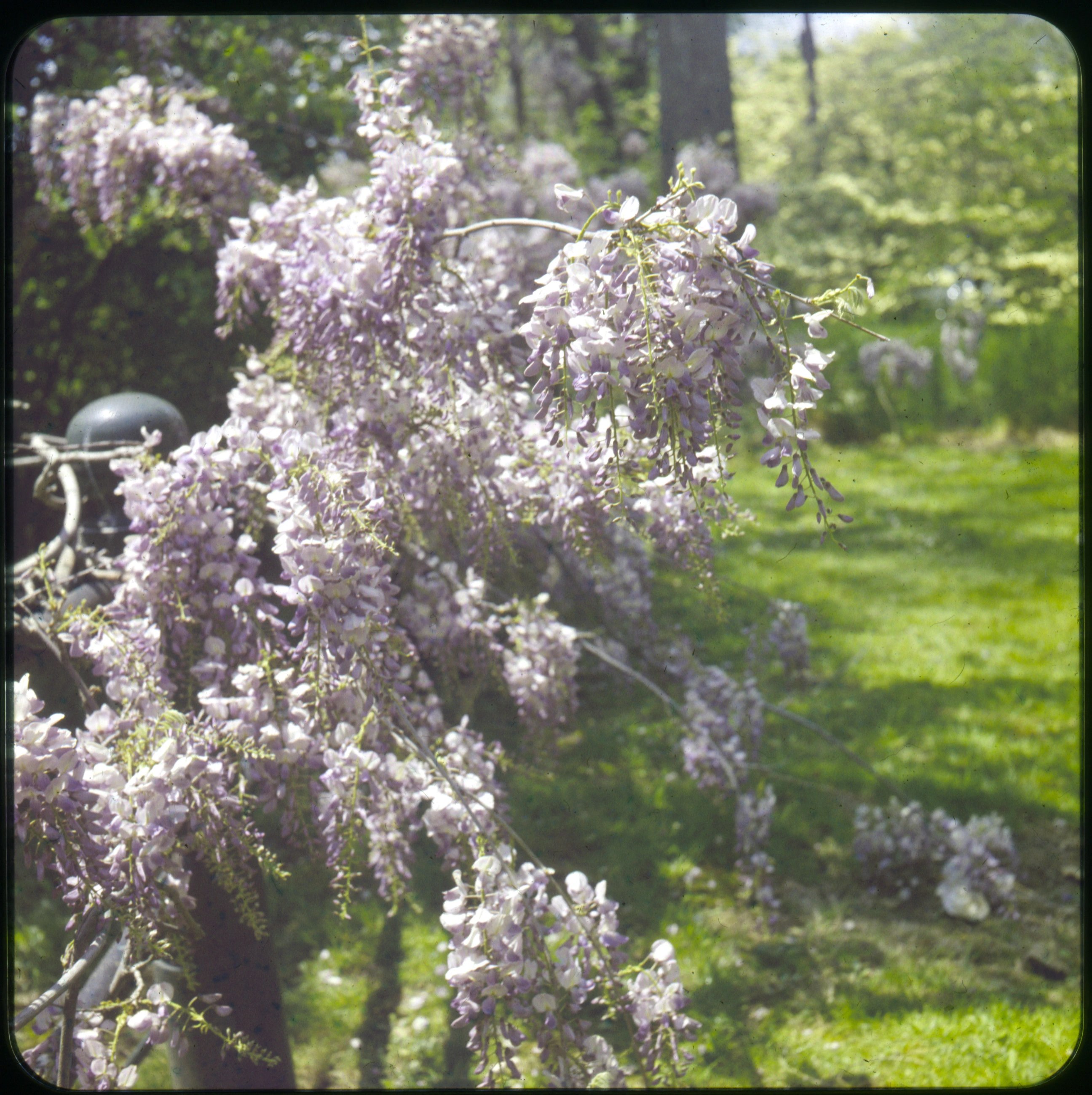Slide 0992A